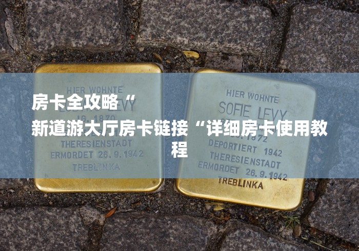 房卡全攻略“
新道游大厅房卡链接“详细房卡使用教程
