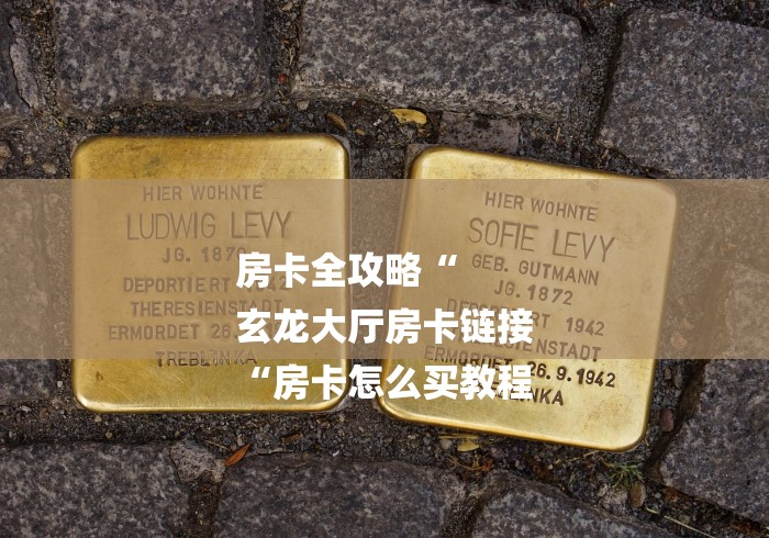 房卡全攻略“
玄龙大厅房卡链接
“房卡怎么买教程