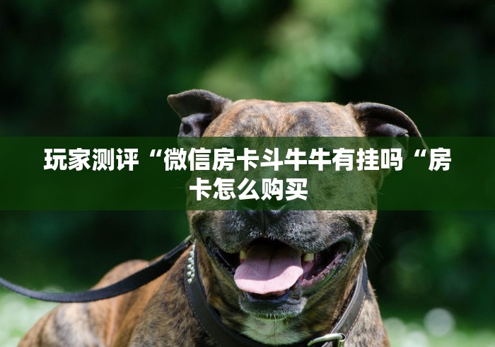 玩家测评“微信房卡斗牛牛有挂吗“房卡怎么购买
