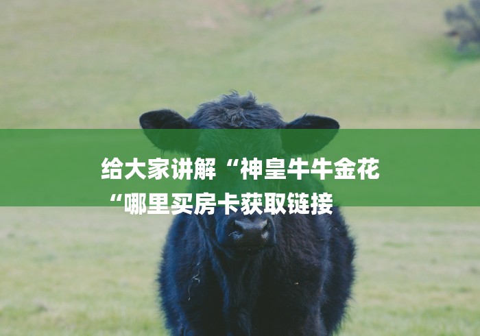 给大家讲解“神皇牛牛金花
“哪里买房卡获取链接