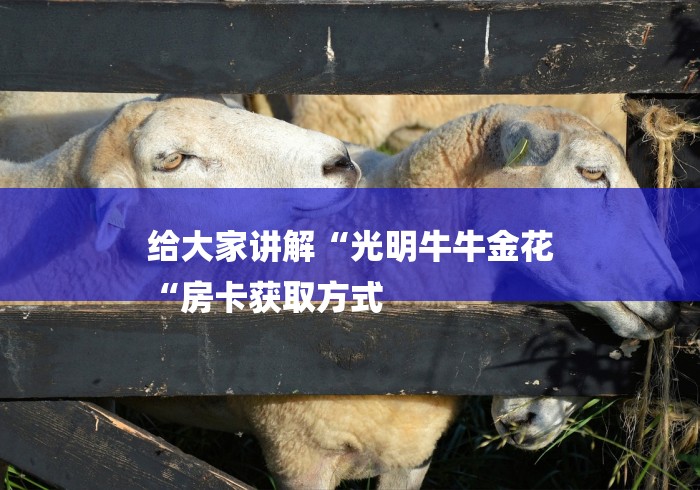 给大家讲解“光明牛牛金花
“房卡获取方式 给大家讲解“光明牛牛金花
“房卡获取方式