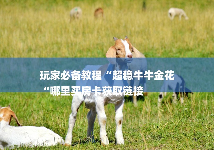 玩家必备教程“超稳牛牛金花
“哪里买房卡获取链接 玩家必备教程“超稳牛牛金花
“哪里买房卡获取链接