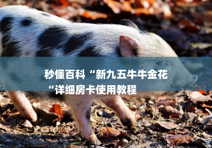 秒懂百科“新九五牛牛金花
“详细房卡使用教程 秒懂百科“新九五牛牛金花
“详细房卡使用教程