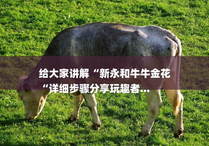 给大家讲解“新永和牛牛金花
“详细步骤分享玩趣者...