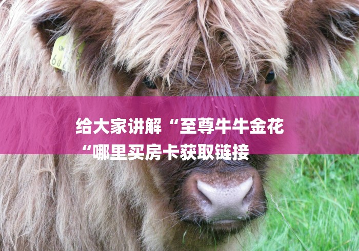 给大家讲解“至尊牛牛金花
“哪里买房卡获取链接 给大家讲解“至尊牛牛金花
“哪里买房卡获取链接