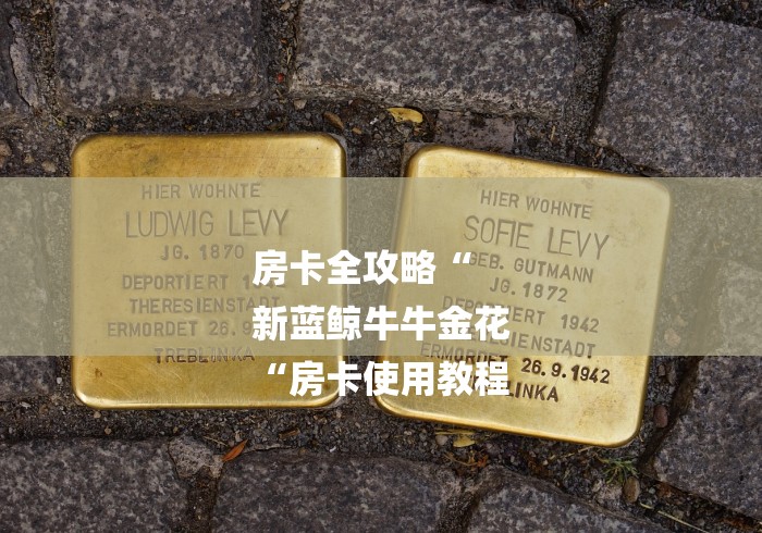 房卡全攻略“
新蓝鲸牛牛金花
“房卡使用教程 房卡全攻略“
新蓝鲸牛牛金花
“房卡使用教程