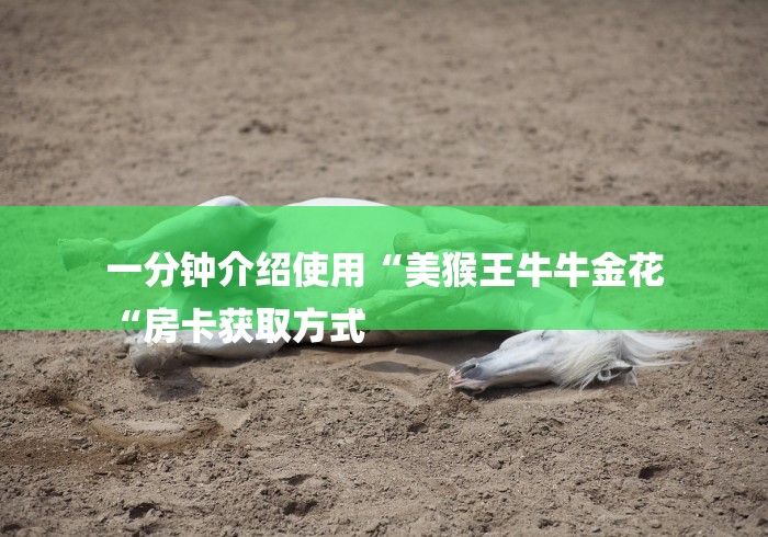 一分钟介绍使用“美猴王牛牛金花
“房卡获取方式 一分钟介绍使用“美猴王牛牛金花
“房卡获取方式