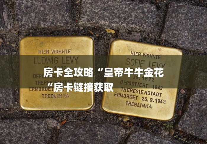 房卡全攻略“皇帝牛牛金花
“房卡链接获取