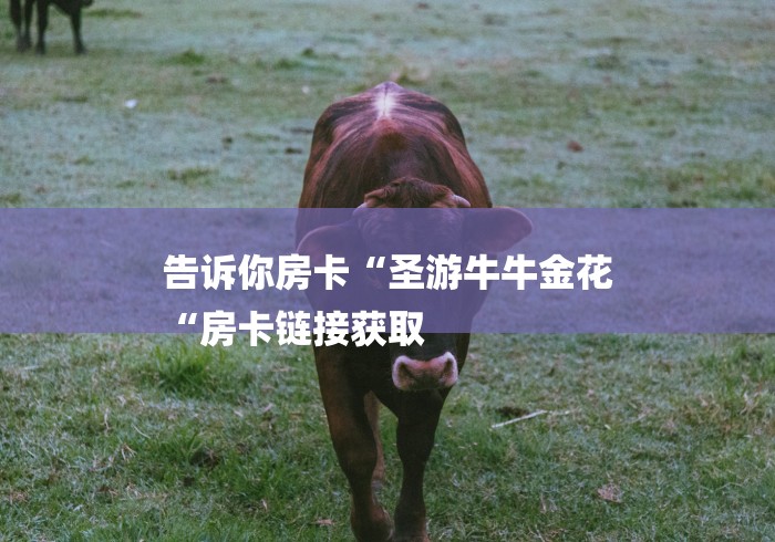 告诉你房卡“圣游牛牛金花
“房卡链接获取