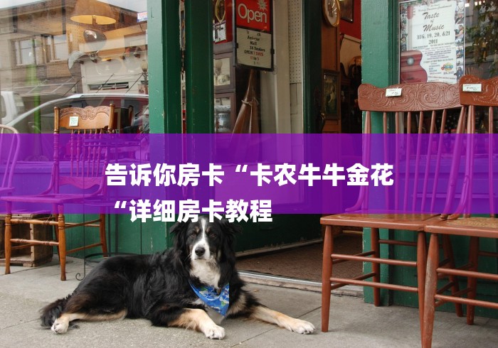 告诉你房卡“卡农牛牛金花
“详细房卡教程 告诉你房卡“卡农牛牛金花
“详细房卡教程