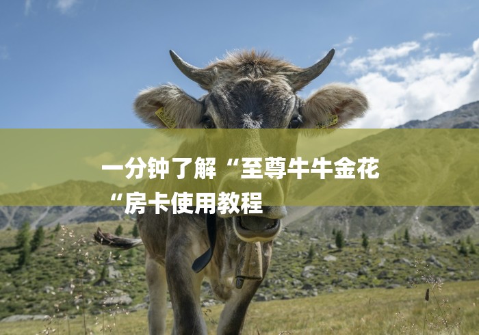 一分钟了解“至尊牛牛金花
“房卡使用教程