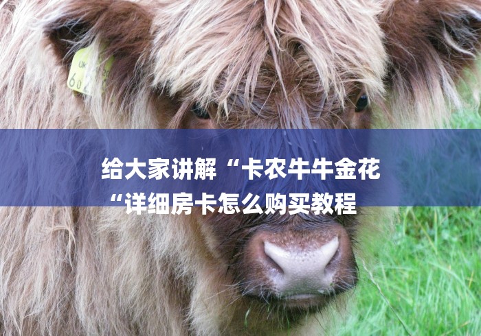 给大家讲解“卡农牛牛金花
“详细房卡怎么购买教程 给大家讲解“卡农牛牛金花
“详细房卡怎么购买教程