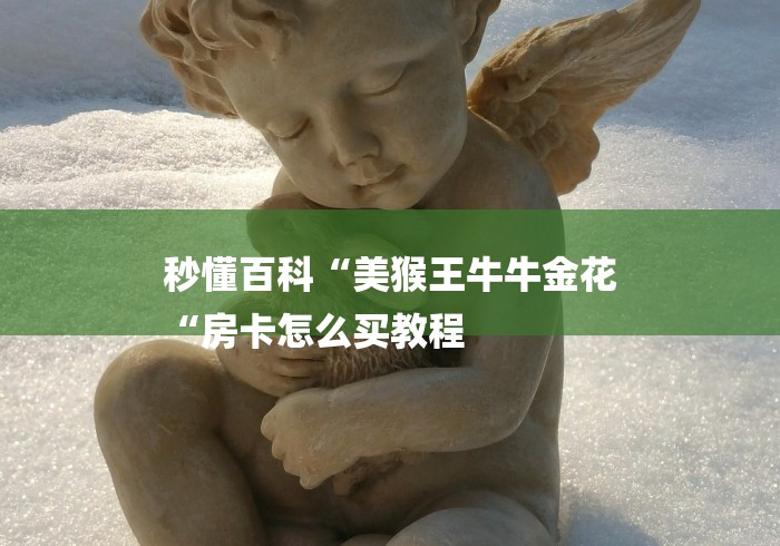 秒懂百科“美猴王牛牛金花
“房卡怎么买教程