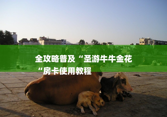 全攻略普及“圣游牛牛金花
“房卡使用教程