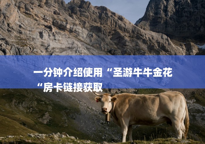 一分钟介绍使用“圣游牛牛金花
“房卡链接获取 一分钟介绍使用“圣游牛牛金花
“房卡链接获取