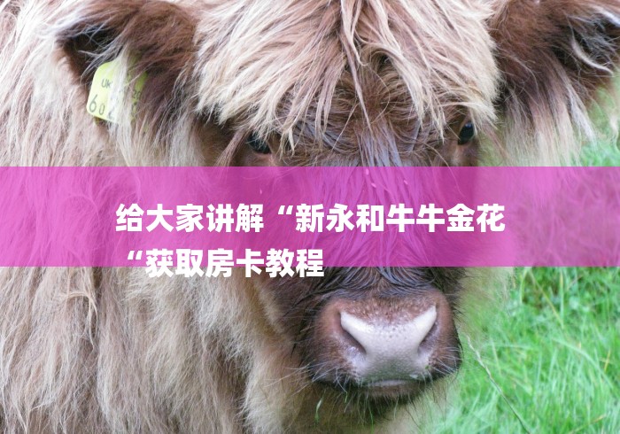 给大家讲解“新永和牛牛金花
“获取房卡教程