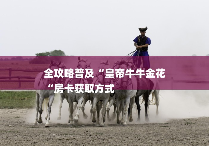 全攻略普及“皇帝牛牛金花
“房卡获取方式 全攻略普及“皇帝牛牛金花
“房卡获取方式