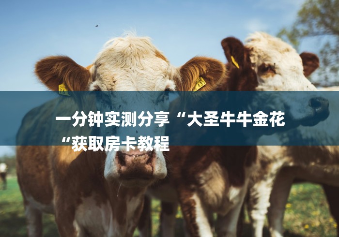 一分钟实测分享“大圣牛牛金花
“获取房卡教程 一分钟实测分享“大圣牛牛金花
“获取房卡教程