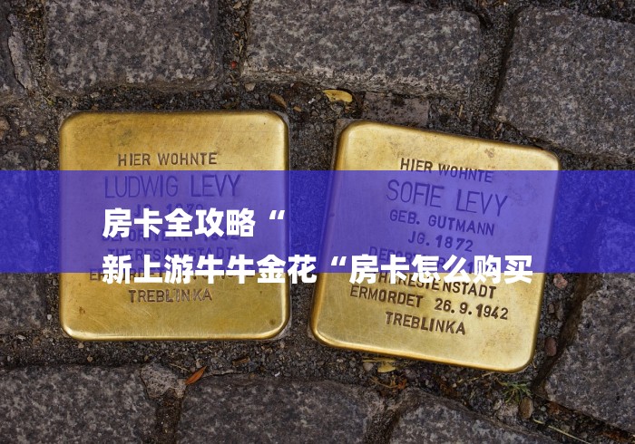 房卡全攻略“
新上游牛牛金花“房卡怎么购买