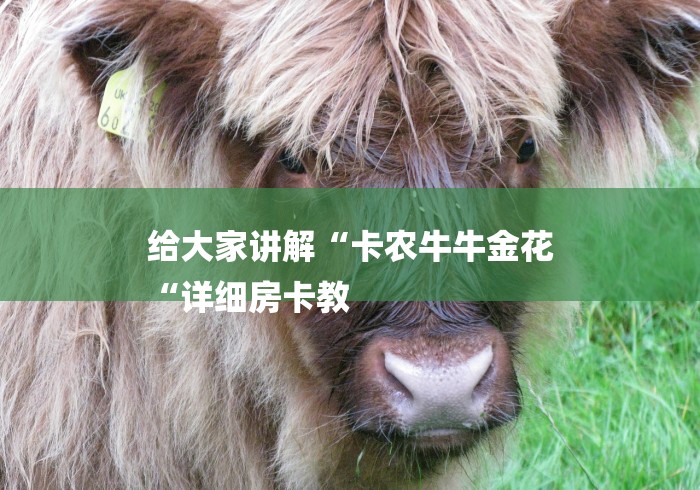 给大家讲解“卡农牛牛金花
“详细房卡教