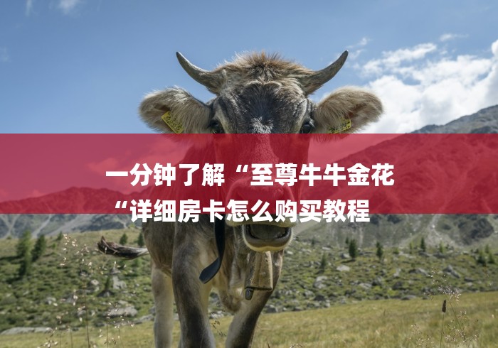 一分钟了解“至尊牛牛金花
“详细房卡怎么购买教程 一分钟了解“至尊牛牛金花
“详细房卡怎么购买教程