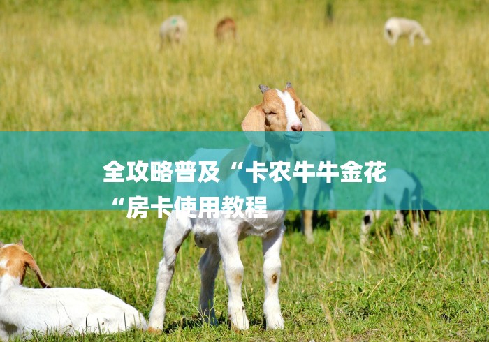 全攻略普及“卡农牛牛金花
“房卡使用教程