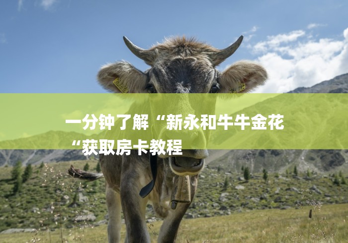 一分钟了解“新永和牛牛金花
“获取房卡教程