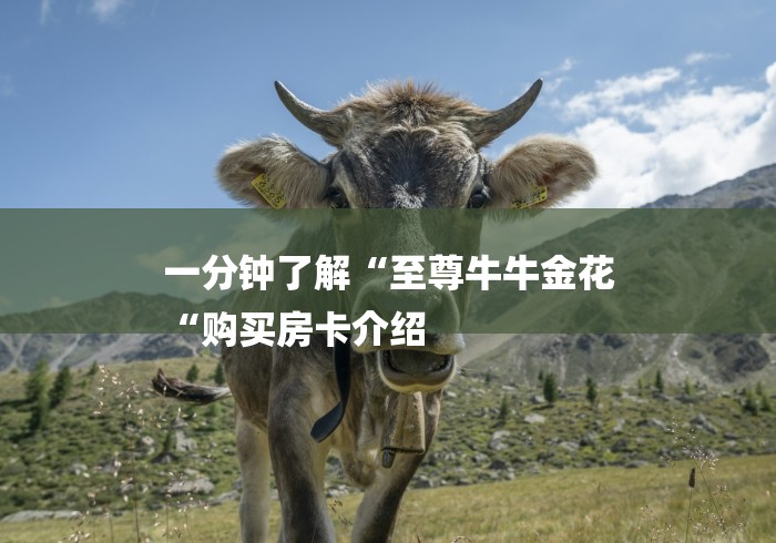 一分钟了解“至尊牛牛金花
“购买房卡介绍 一分钟了解“至尊牛牛金花
“购买房卡介绍