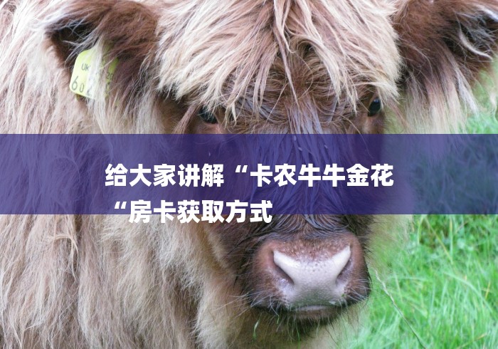 给大家讲解“卡农牛牛金花
“房卡获取方式 给大家讲解“卡农牛牛金花
“房卡获取方式