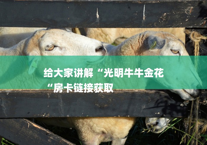 给大家讲解“光明牛牛金花
“房卡链接获取
