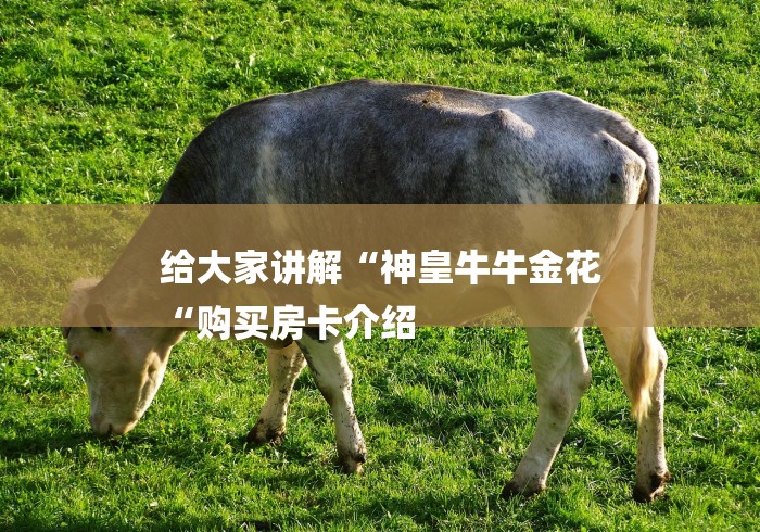 给大家讲解“神皇牛牛金花
“购买房卡介绍