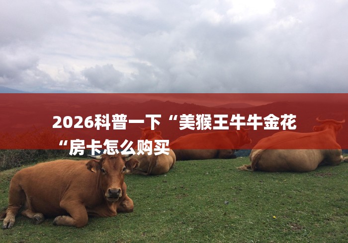 2026科普一下“美猴王牛牛金花
“房卡怎么购买