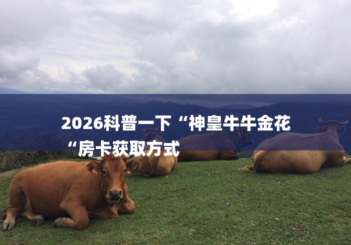 2026科普一下“神皇牛牛金花
“房卡获取方式 2026科普一下“神皇牛牛金花
“房卡获取方式