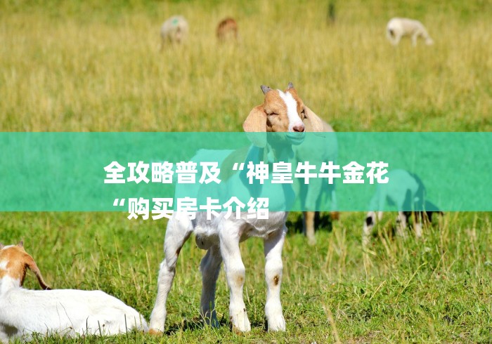 全攻略普及“神皇牛牛金花
“购买房卡介绍 全攻略普及“神皇牛牛金花
“购买房卡介绍