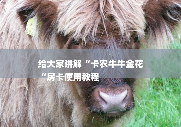 给大家讲解“卡农牛牛金花
“房卡使用教程 给大家讲解“卡农牛牛金花
“房卡使用教程