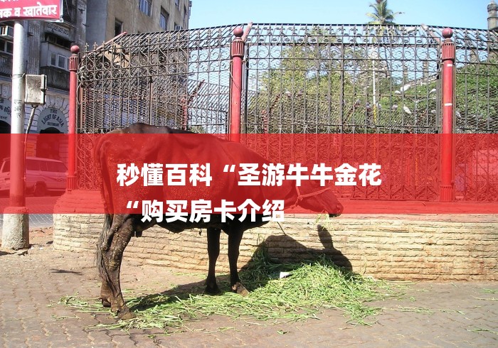 秒懂百科“圣游牛牛金花
“购买房卡介绍 秒懂百科“圣游牛牛金花
“购买房卡介绍