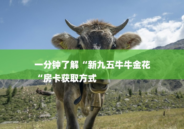 一分钟了解“新九五牛牛金花
“房卡获取方式