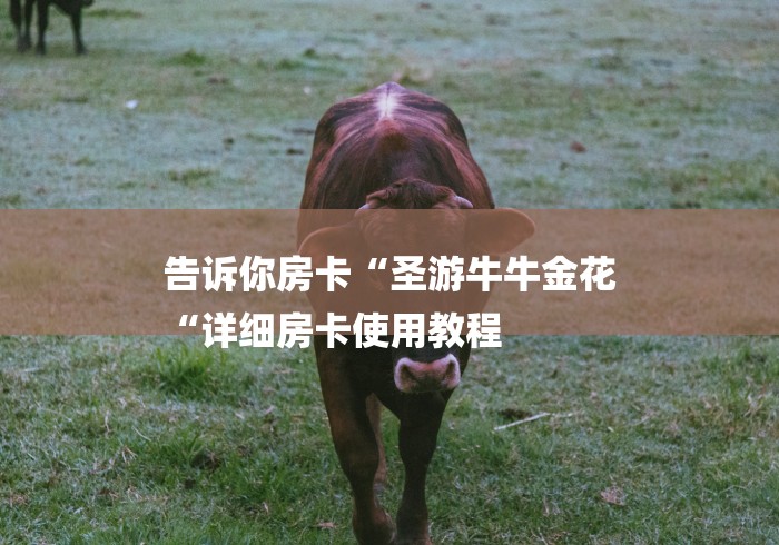 告诉你房卡“圣游牛牛金花
“详细房卡使用教程