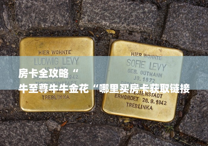 房卡全攻略“
牛至尊牛牛金花“哪里买房卡获取链接 房卡全攻略“
牛至尊牛牛金花“哪里买房卡获取链接