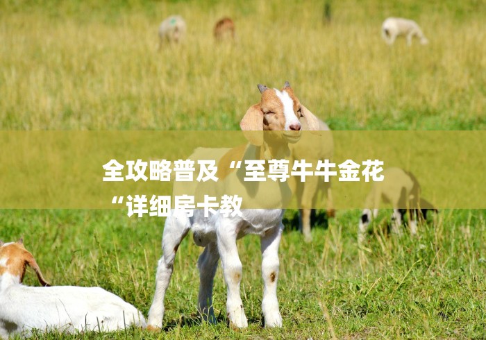 全攻略普及“至尊牛牛金花
“详细房卡教