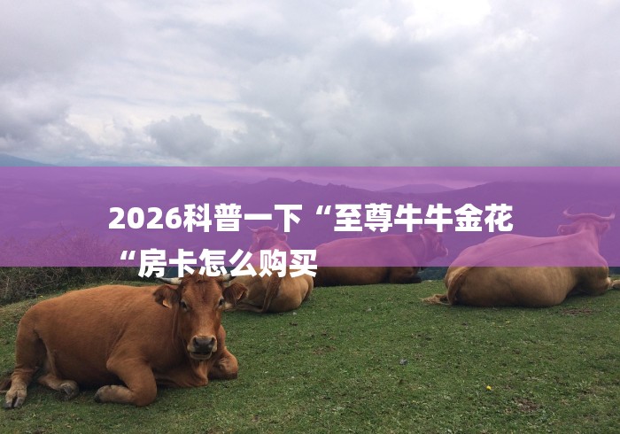 2026科普一下“至尊牛牛金花
“房卡怎么购买