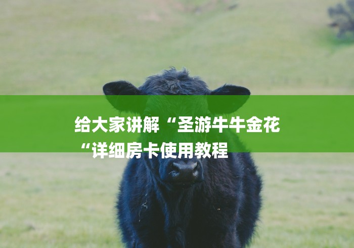 给大家讲解“圣游牛牛金花
“详细房卡使用教程 给大家讲解“圣游牛牛金花
“详细房卡使用教程