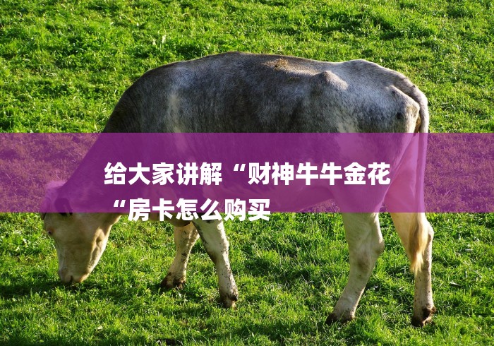 给大家讲解“财神牛牛金花
“房卡怎么购买