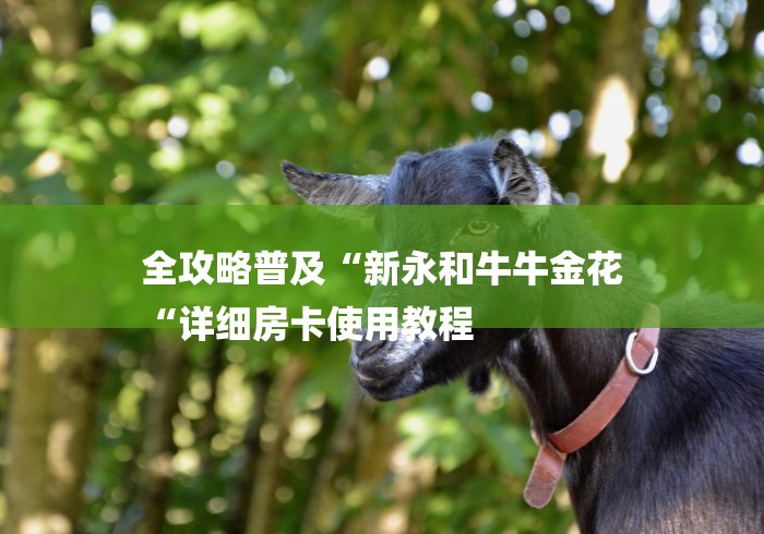 全攻略普及“新永和牛牛金花
“详细房卡使用教程