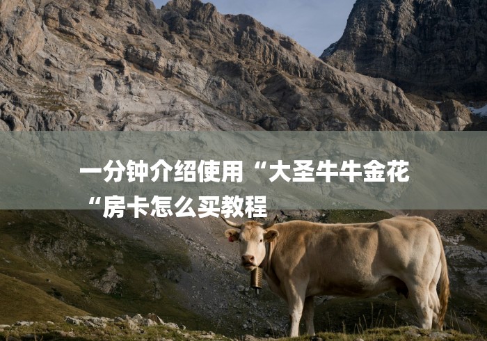 一分钟介绍使用“大圣牛牛金花
“房卡怎么买教程 一分钟介绍使用“大圣牛牛金花
“房卡怎么买教程