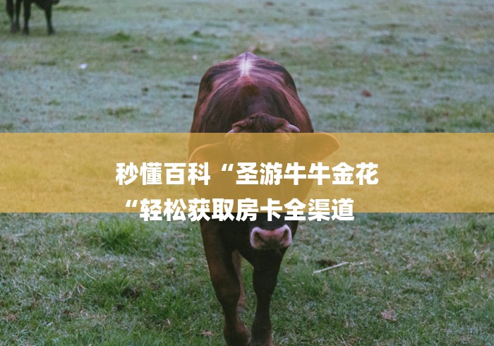 秒懂百科“圣游牛牛金花
“轻松获取房卡全渠道