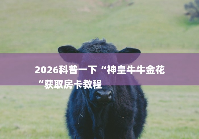 2026科普一下“神皇牛牛金花
“获取房卡教程 2026科普一下“神皇牛牛金花
“获取房卡教程