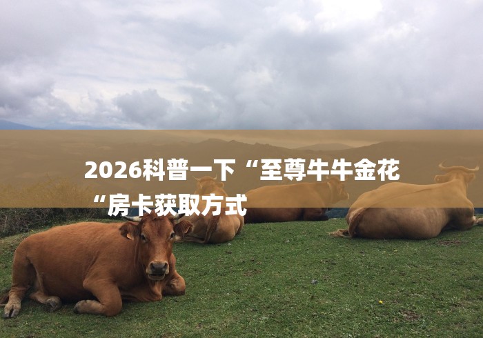 2026科普一下“至尊牛牛金花
“房卡获取方式 2026科普一下“至尊牛牛金花
“房卡获取方式