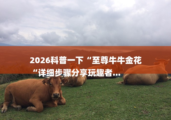 2026科普一下“至尊牛牛金花
“详细步骤分享玩趣者...