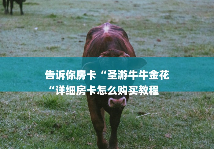 告诉你房卡“圣游牛牛金花
“详细房卡怎么购买教程